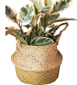 Colonel Mustard Large Basket 11" x 10" (Wicker)