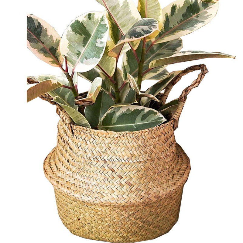 Colonel Mustard Large Basket 11" x 10" (Wicker)