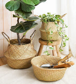 Colonel Mustard Large Basket 11" x 10" (Wicker)